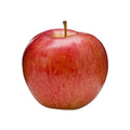 Organic Apple - Royal Gala